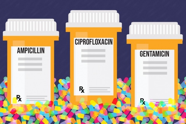 MIT Antibiotic Action