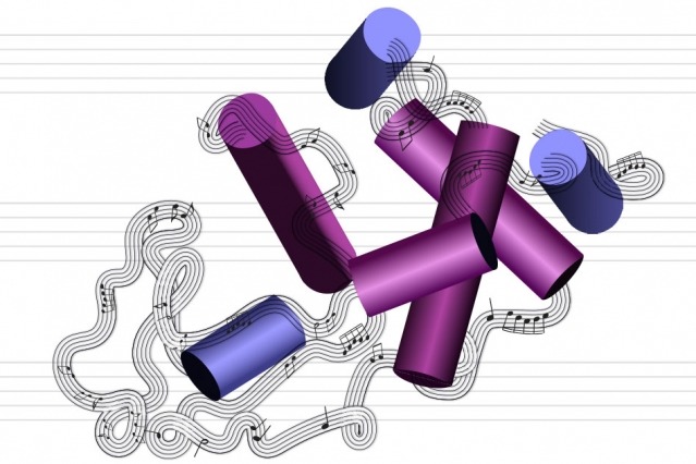 Translating proteins into music, and back