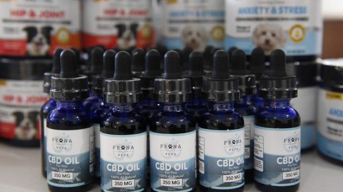 cbd oil florida e