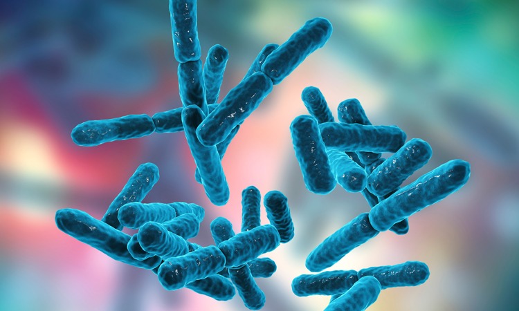 Pernicious microorganisms: risks of contamination in pharma