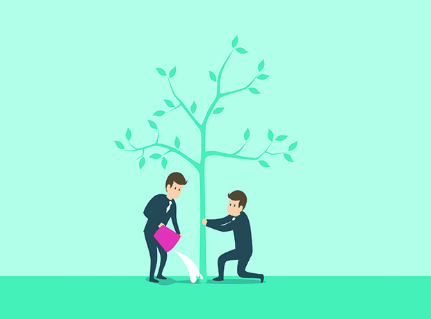 Transforming the landscape