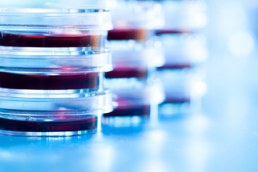 Eurofins teams up with Chinese CRO PharmaResources for speedy drug discovery