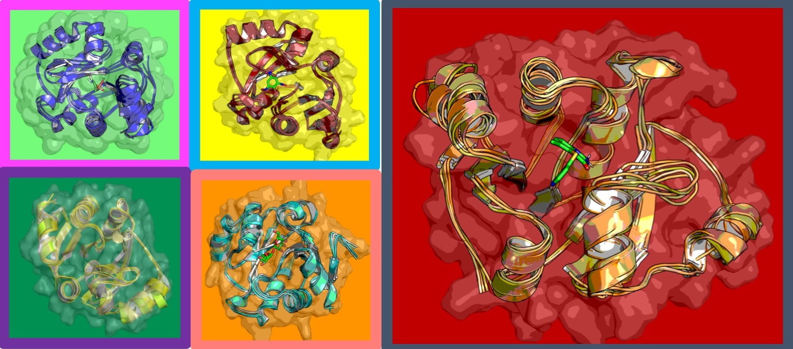ligand simulations