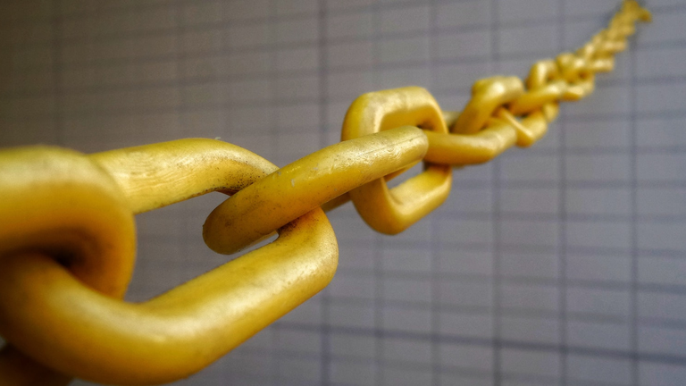 franck v NwpSBZMhc M unsplash