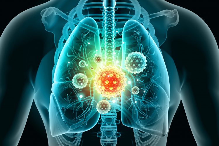 lung model for covid research image