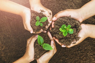 RareDiseaseClinicalTrials:AreasWeCouldImproveOn