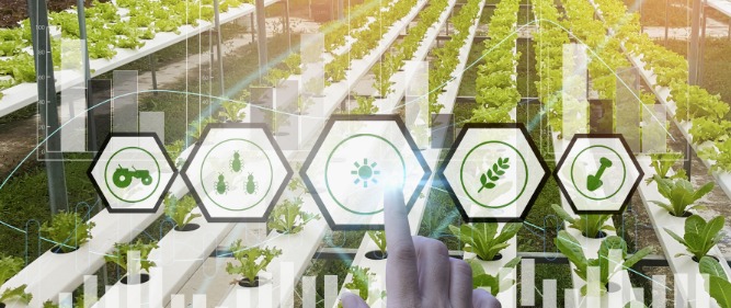 FoodTraceabilityMarkettoHitNewLevelsOfGrowthwithUS$.Billionby